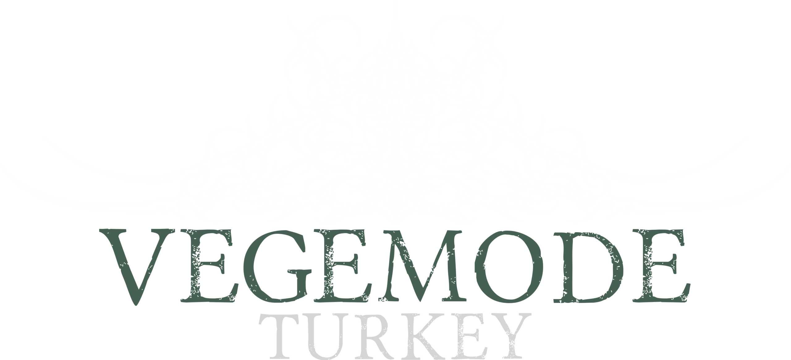 Vegemode – Turkey Copy Copy